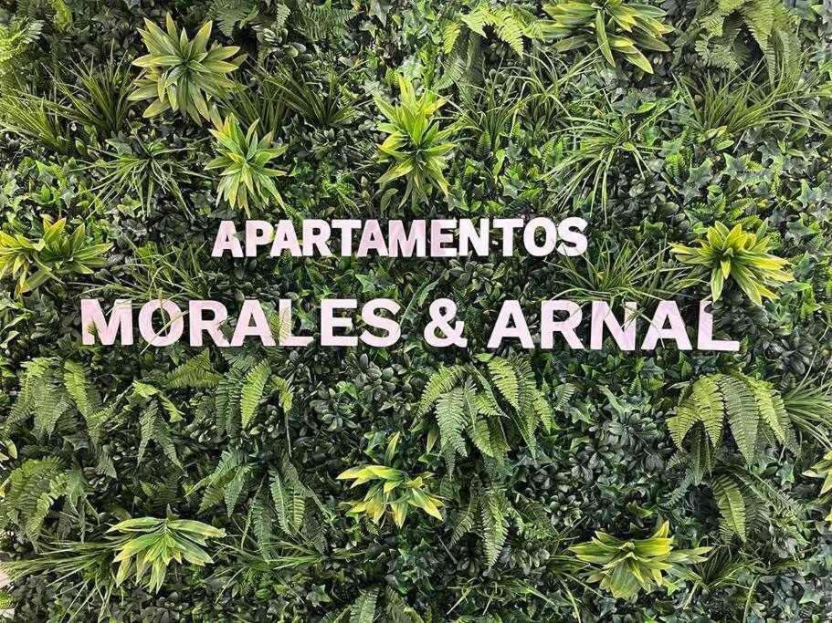 XXI E Apartamentos Morales & Arnal Ронда Экстерьер фото